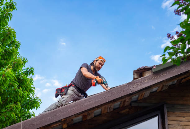 Best Storm Damage Roof Repair  in Emmaus, PA